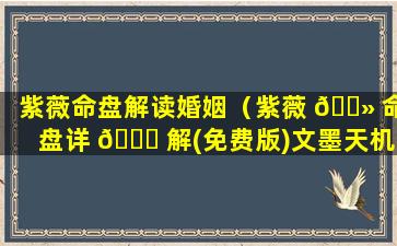 紫薇命盘解读婚姻（紫薇 🌻 命盘详 🐛 解(免费版)文墨天机）